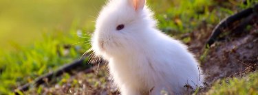 Cole Inc 2026 Zipevent