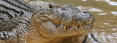 test event sodik Zipevent