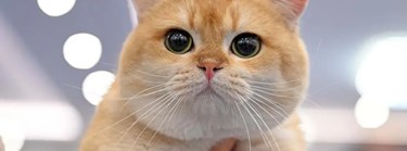 coffee123 123 Zipevent