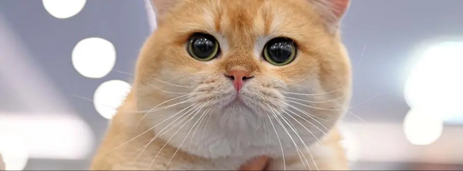 coffee123 123 Zipevent