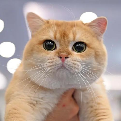 test Organizer123 Zipevent